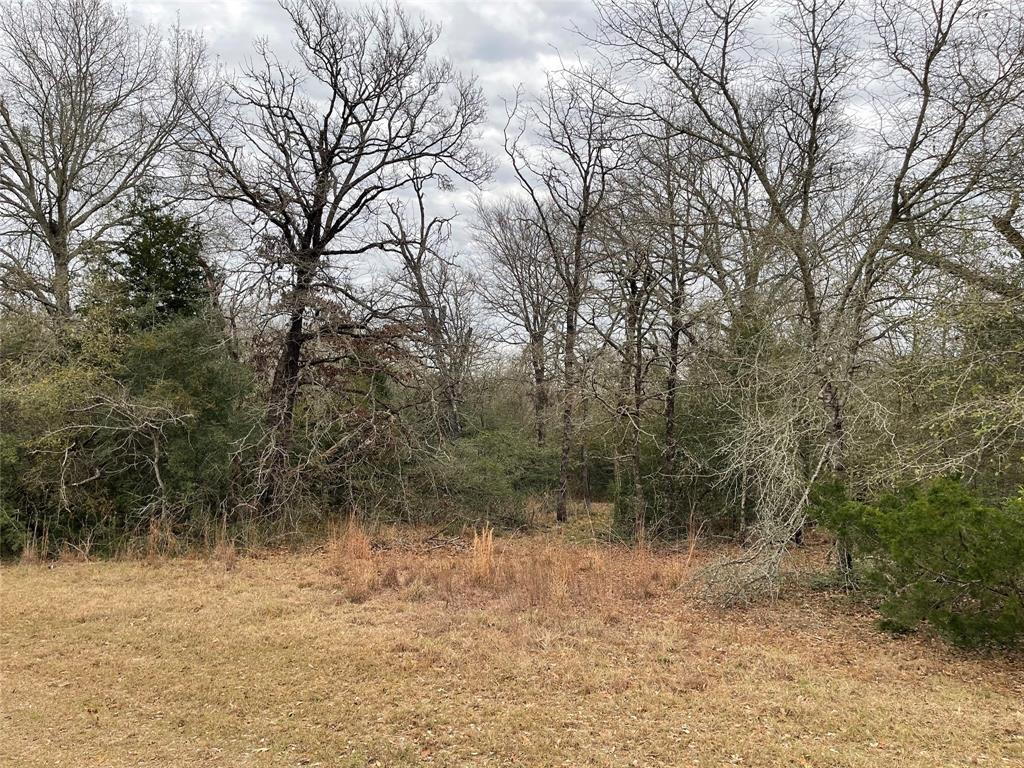 259 Fcr 280, Oakwood, Texas image 19