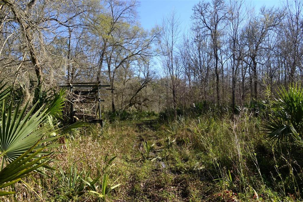 Lot 7 Lake Ck Ranchettes, Magnolia, Texas image 3