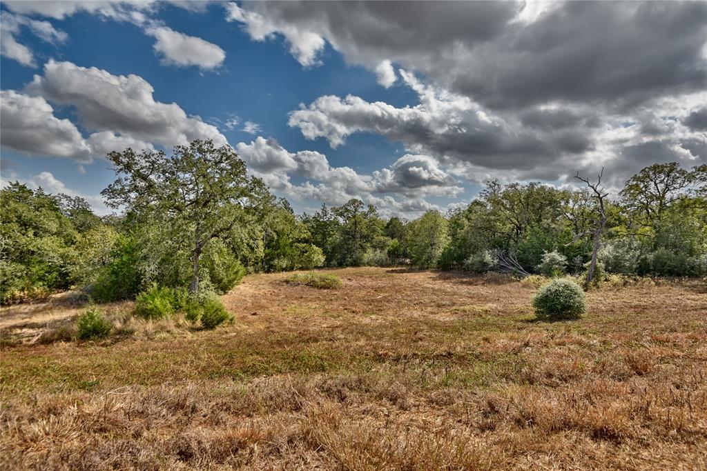 TBD Private Road 1063, Paige, Texas image 37