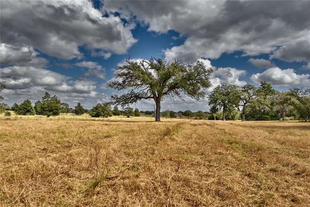 TBD Private Road 1063, Paige, Texas image 23