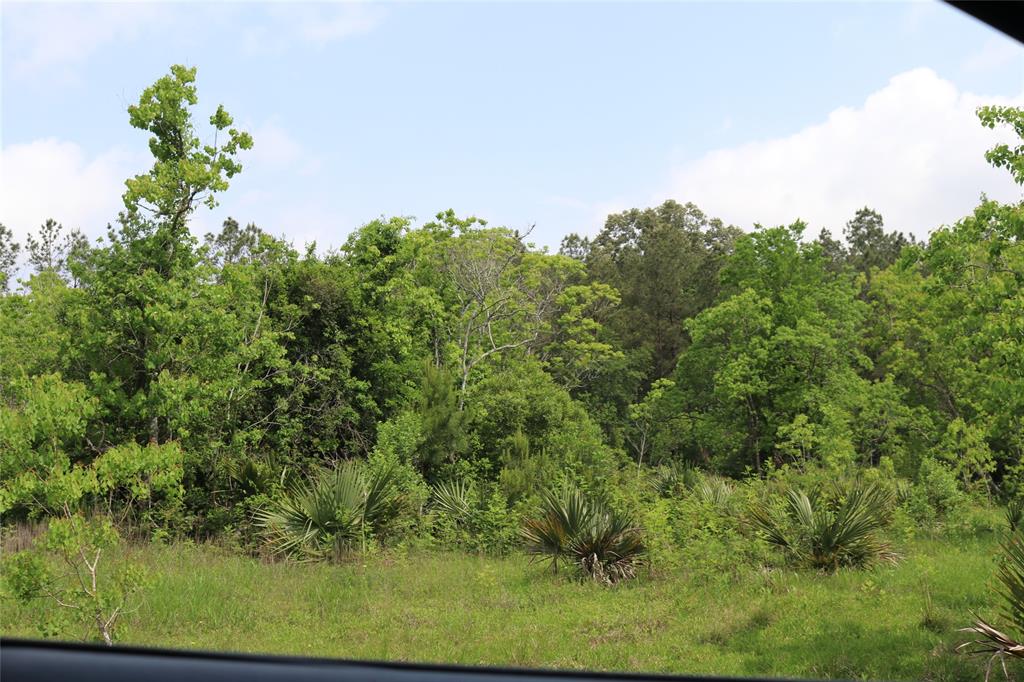 5207 Melanie Lane, Crosby, Texas image 5