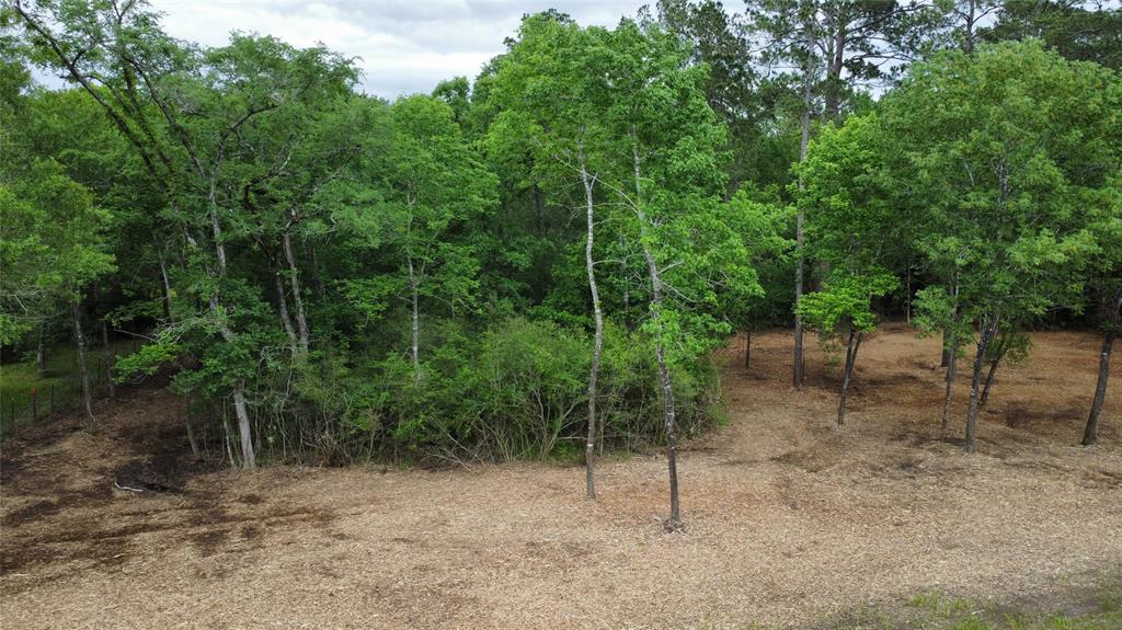 TBD Fm-1486, Richards, Texas image 9