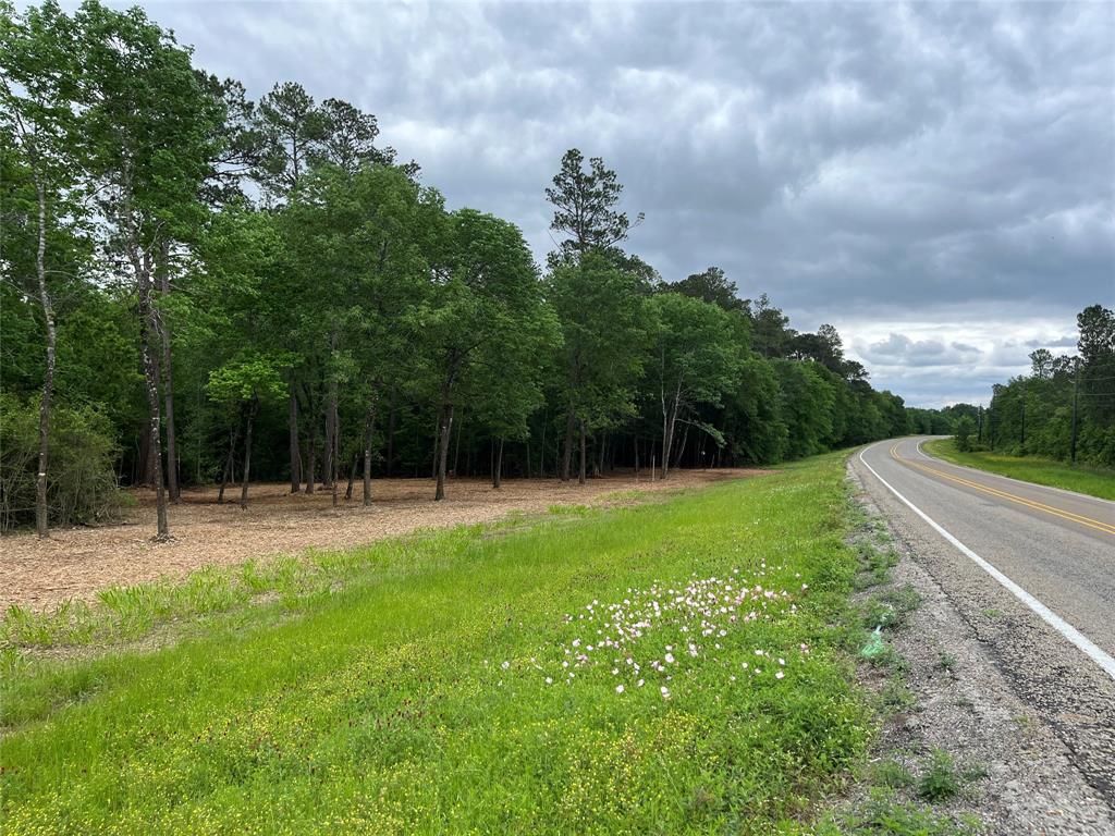 TBD Fm-1486, Richards, Texas image 26