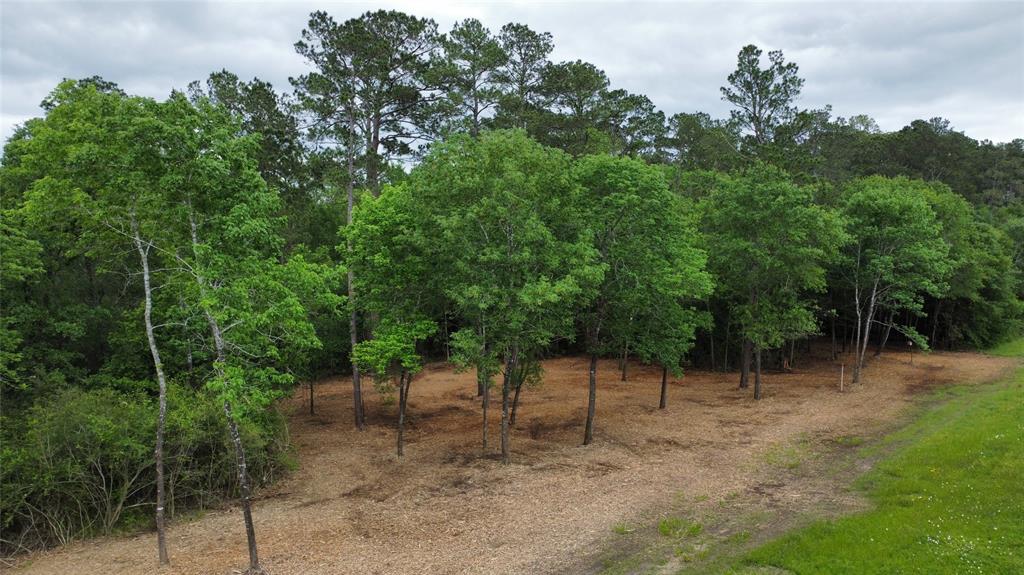 TBD Fm-1486, Richards, Texas image 1