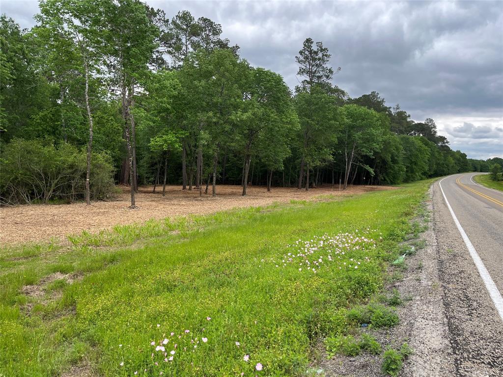 TBD Fm-1486, Richards, Texas image 5