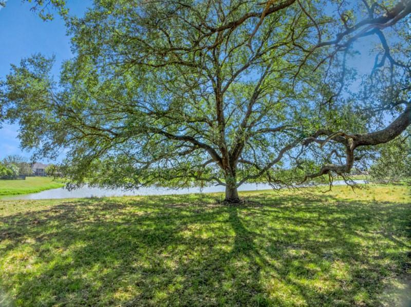 1210 Bahama Lane, Port Bolivar, Texas image 17