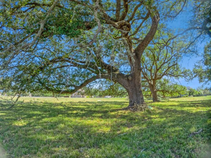 1210 Bahama Lane, Port Bolivar, Texas image 16