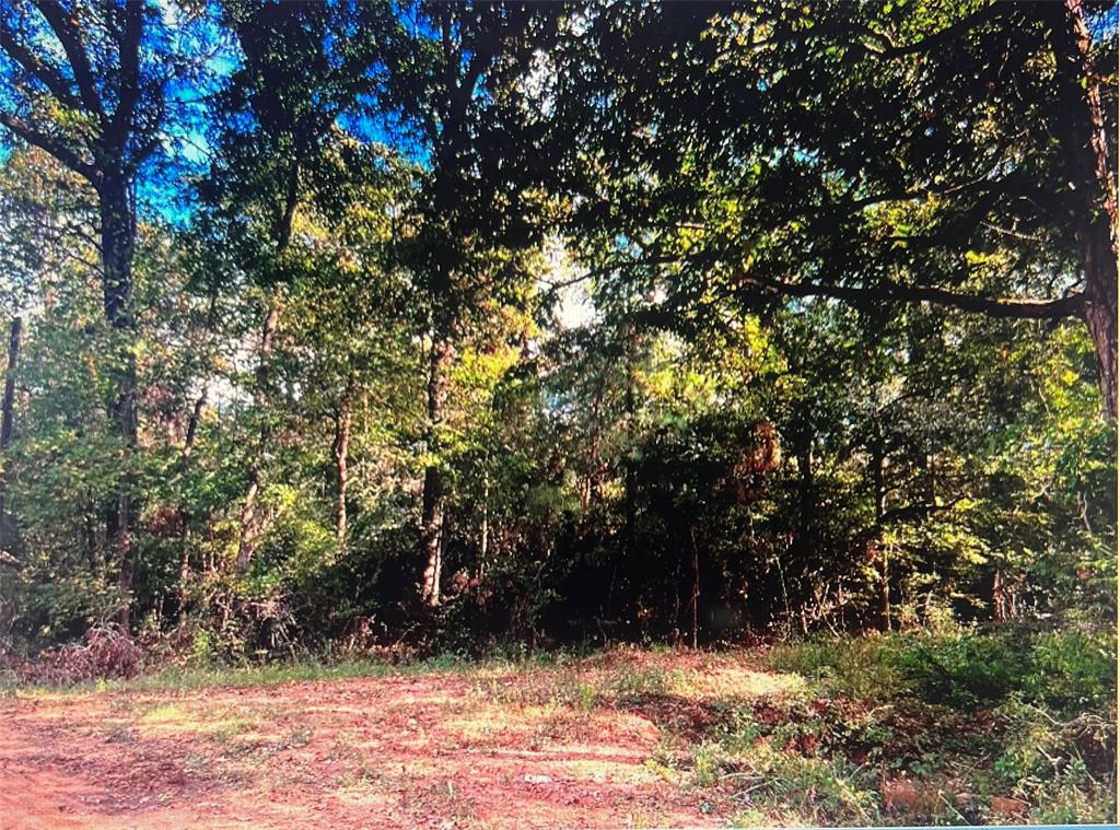 000 N Maid Marian, Shepherd, Texas image 1