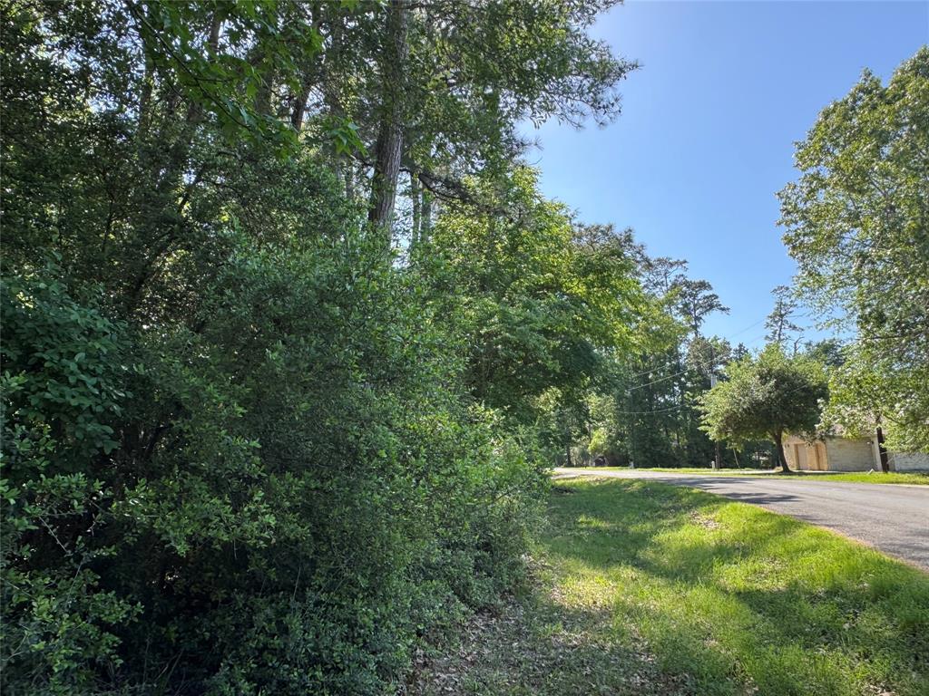 TBD34 Lakeway Drive, Trinity, Texas image 3