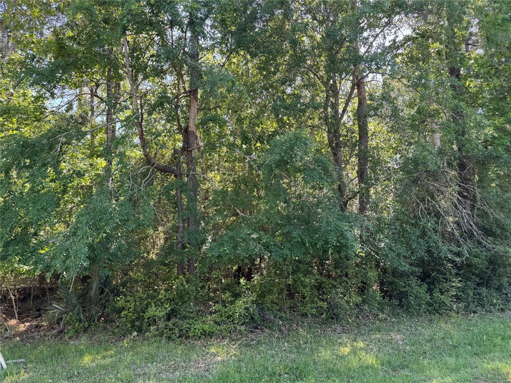 TBD34 Lakeway Drive, Trinity, Texas image 8