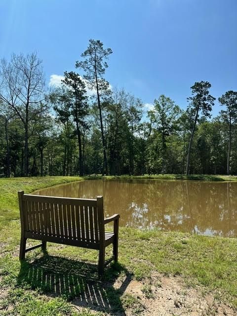 Photo of 340 Exploration Road, Willis, TX 77378 (MLS # 22511554)