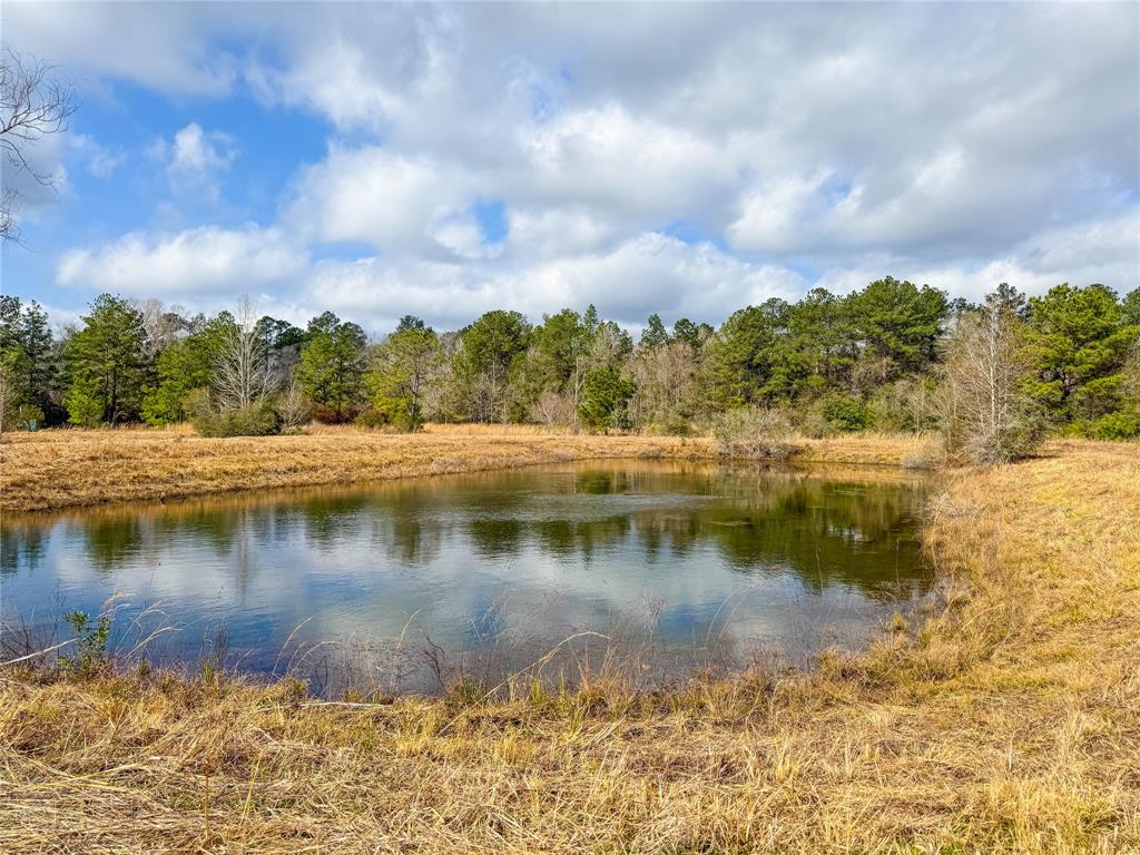 693 County Road 4015, Newton, Texas image 3