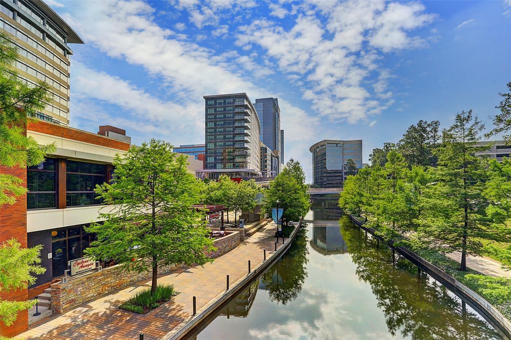 15 Forest Perch Place, The Woodlands, Texas image 41