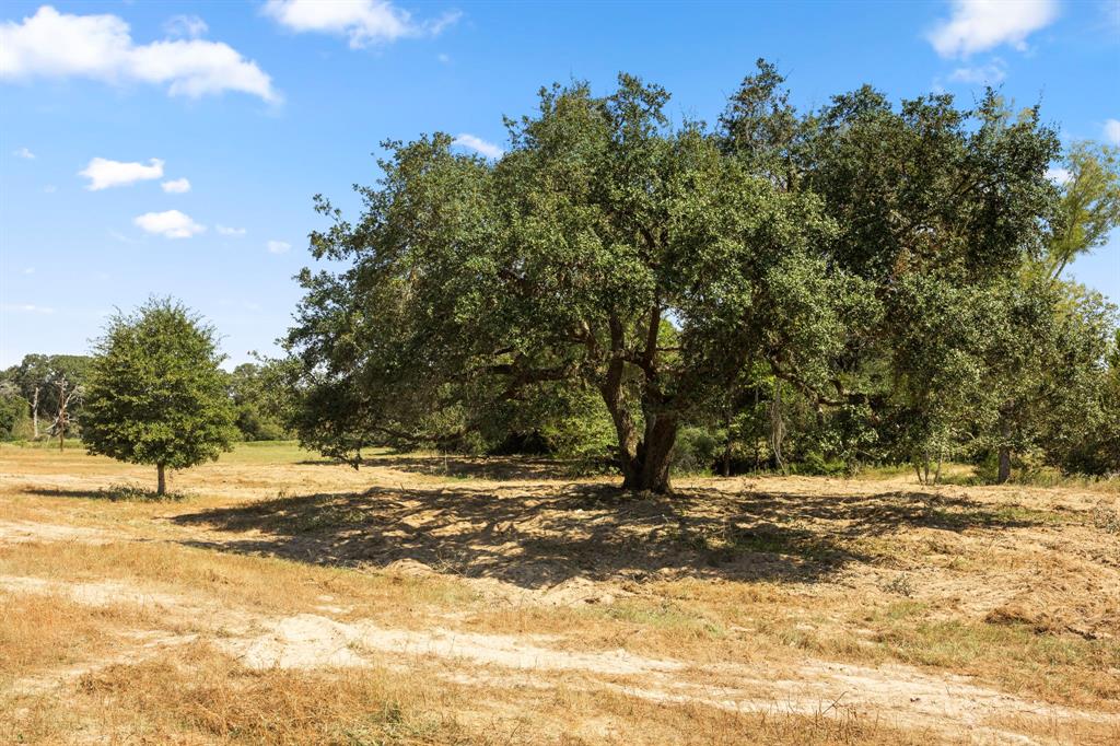 TBD (TR 2) Joshua Tree Lane At Brunes Mill Rd, Columbus, Texas image 2