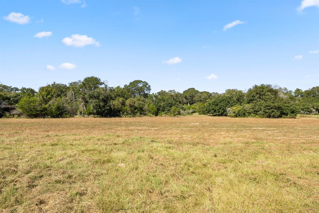 TBD (TR 2) Joshua Tree Lane At Brunes Mill Rd, Columbus, Texas image 4