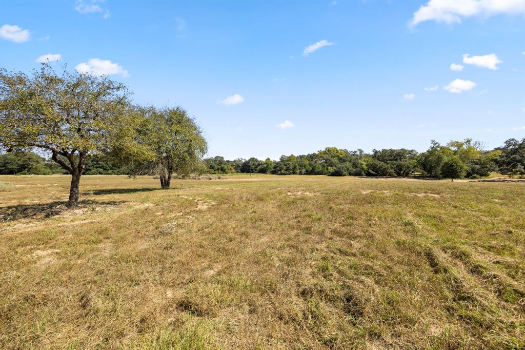 TBD (TR 2) Joshua Tree Lane At Brunes Mill Rd, Columbus, Texas image 3