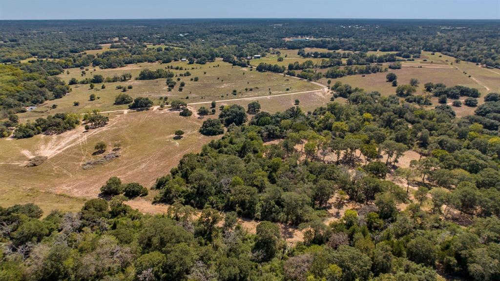 TBD (TR 2) Joshua Tree Lane At Brunes Mill Rd, Columbus, Texas image 7