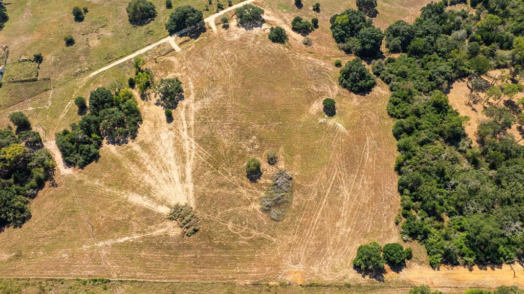 TBD (TR 2) Joshua Tree Lane At Brunes Mill Rd, Columbus, Texas image 10