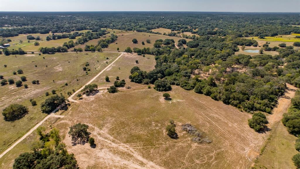 TBD (TR 2) Joshua Tree Lane At Brunes Mill Rd, Columbus, Texas image 6