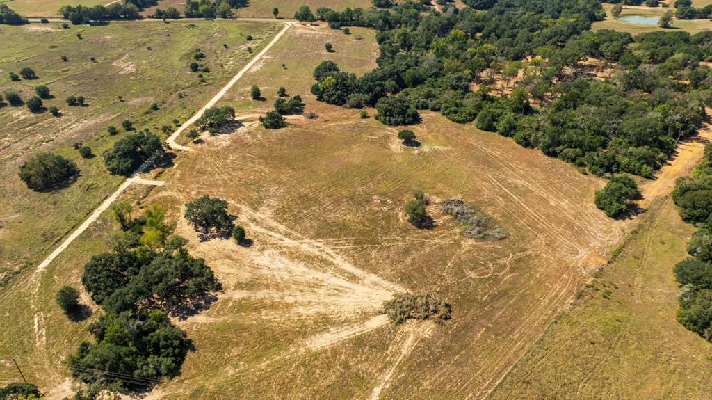 TBD (TR 2) Joshua Tree Lane At Brunes Mill Rd, Columbus, Texas image 9