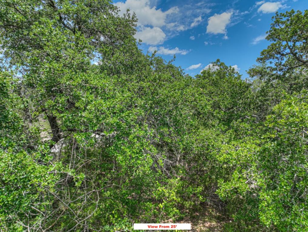 000 Contour Dr Drive, Spring Branch, Texas image 16