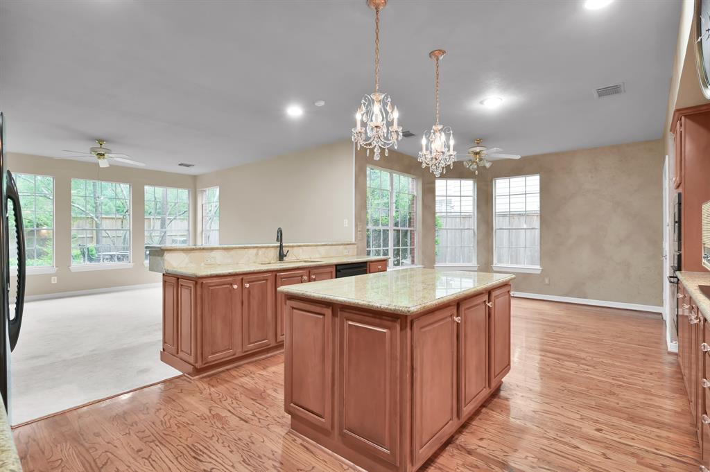 65 S Concord Forest Circle, The Woodlands, Texas image 22