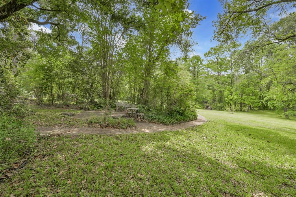 22423 Lakeway Drive, Spring, Texas image 23