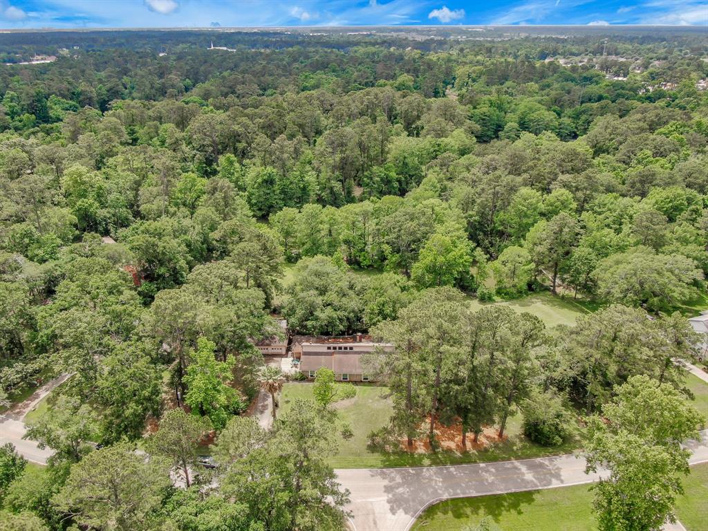 22423 Lakeway Drive, Spring, Texas image 29