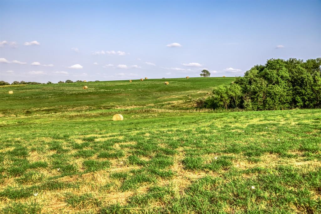 3575 County Road 271, Moulton, Texas image 11