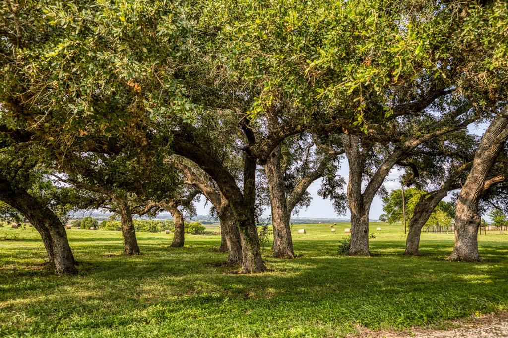 3575 County Road 271, Moulton, Texas image 14