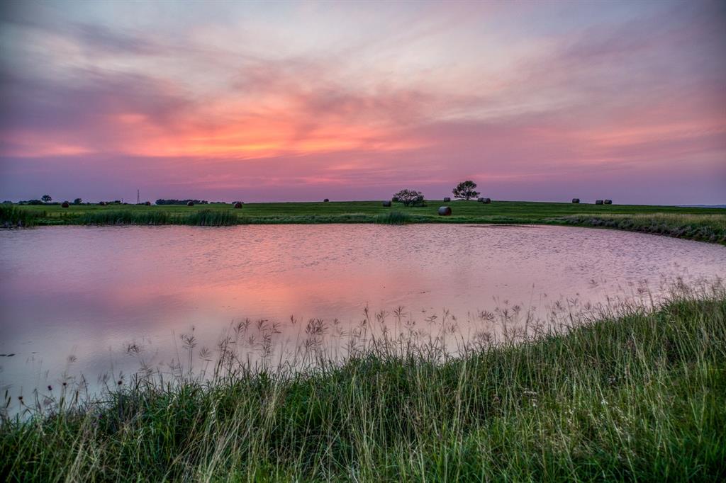 3575 County Road 271, Moulton, Texas image 3