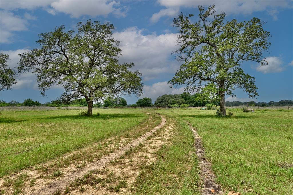 000 Fm 609, Flatonia, Texas image 4