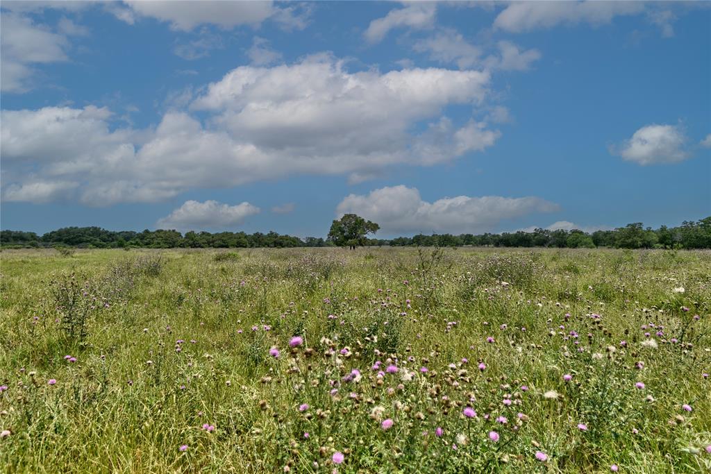 000 Fm 609, Flatonia, Texas image 7