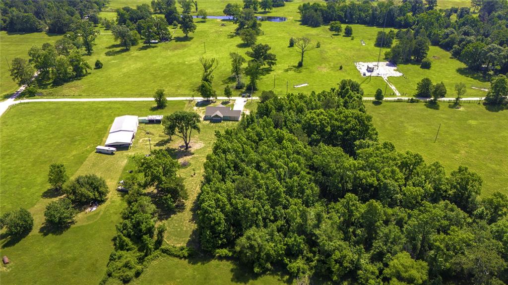 180 Carlisle Cemetary Rd Rd, Trinity, Texas image 8