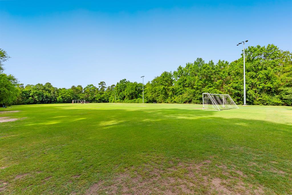 3500 Tangle Brush Drive #132, The Woodlands, Texas image 19