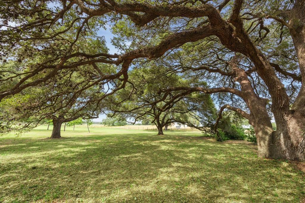 3834 Fm 949 Highway, Cat Spring, Texas image 47