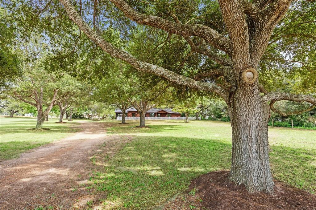 3834 Fm 949 Highway, Cat Spring, Texas image 10