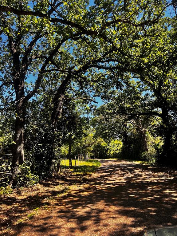 4605 Krischke, Schulenburg, Texas image 1