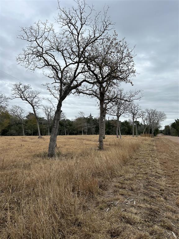 4605 Krischke, Schulenburg, Texas image 17