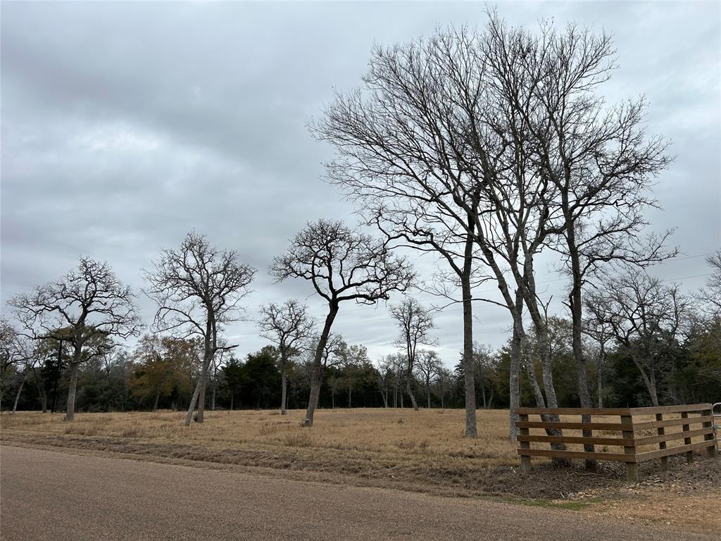 4605 Krischke, Schulenburg, Texas image 13