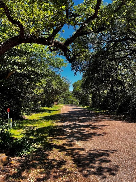 4605 Krischke, Schulenburg, Texas image 6