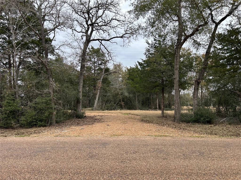 4605 Krischke, Schulenburg, Texas image 14