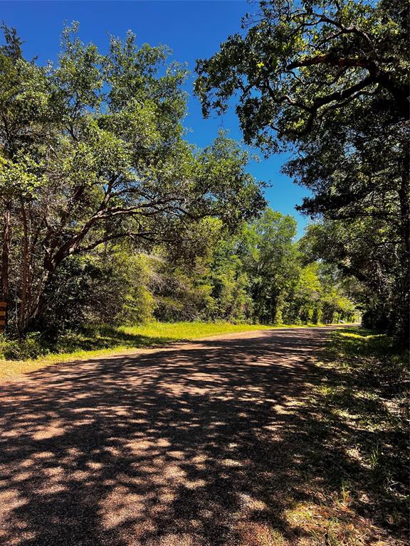 4605 Krischke, Schulenburg, Texas image 3