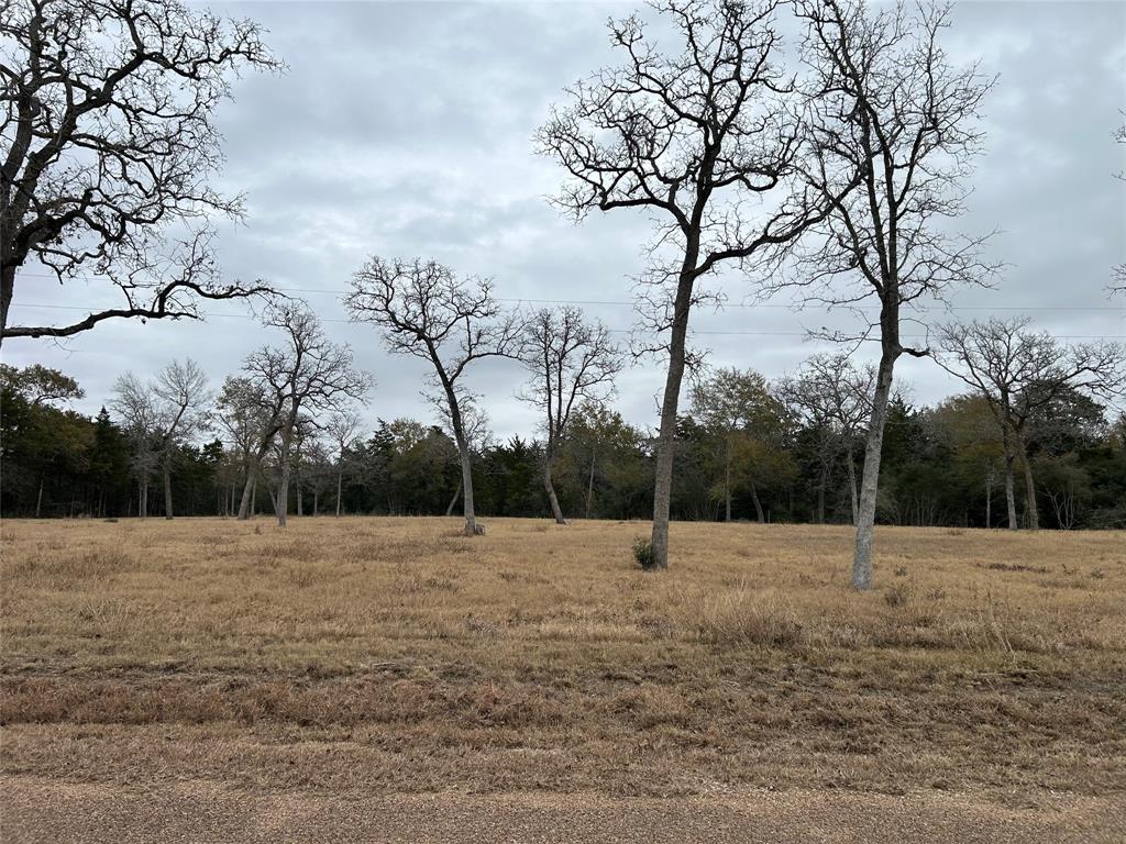 4605 Krischke, Schulenburg, Texas image 16