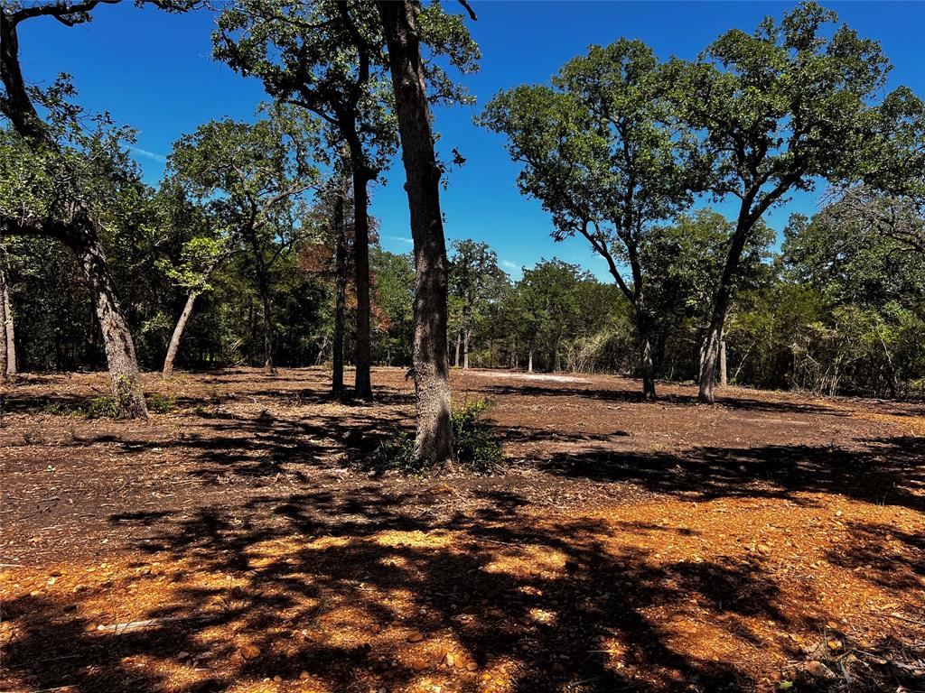 4605 Krischke, Schulenburg, Texas image 7