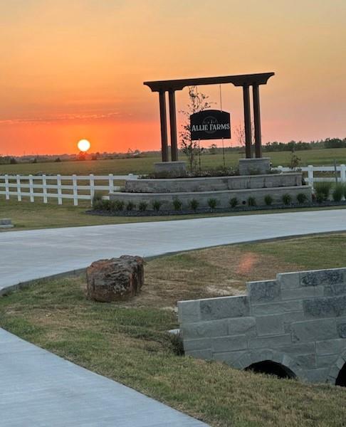 Lot 4 Allie Lane, Dayton, Texas image 4
