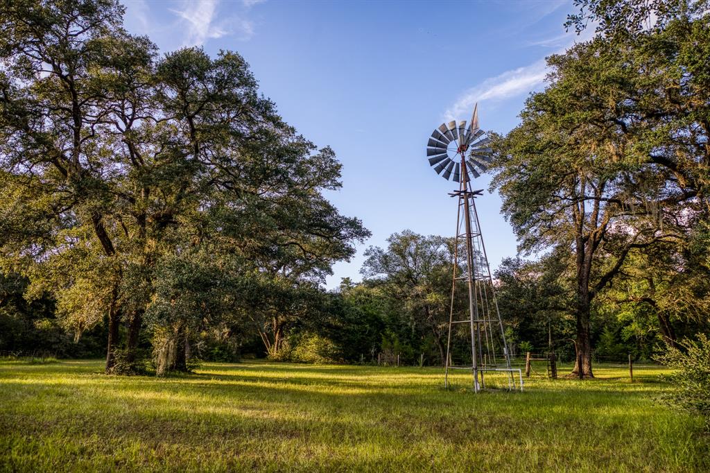 15567 Hartman Lane, Cat Spring, Texas image 36