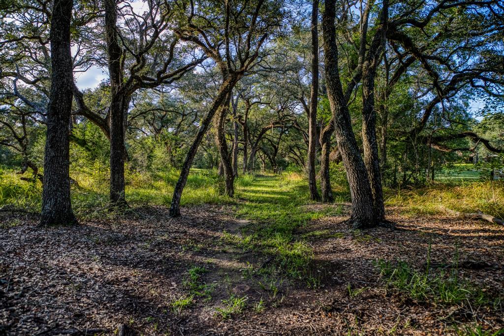 15567 Hartman Lane, Cat Spring, Texas image 24