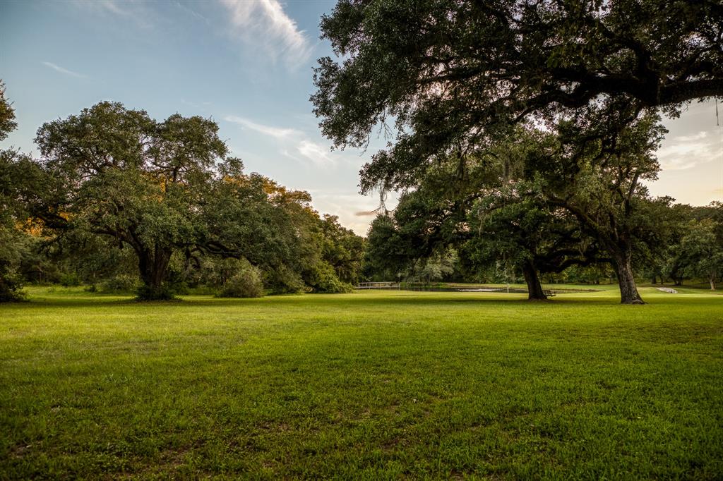 15567 Hartman Lane, Cat Spring, Texas image 18