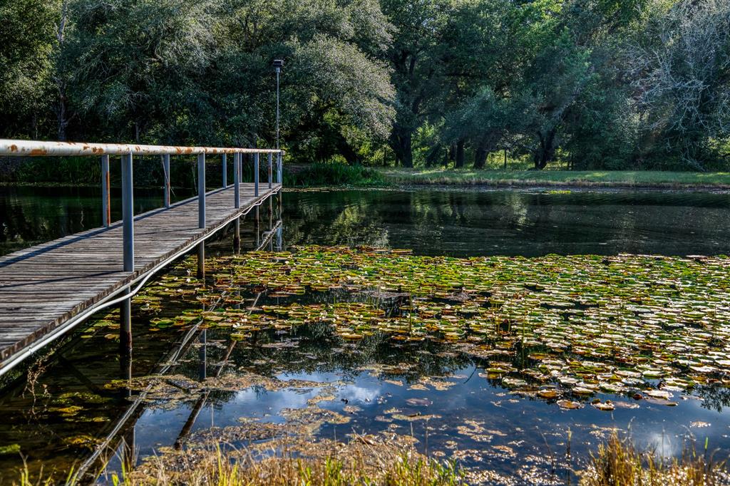 15567 Hartman Lane, Cat Spring, Texas image 34